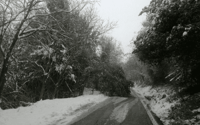 Maltempo: moltiplicati gli interventi