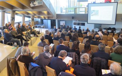 Contrasto dei piccioni