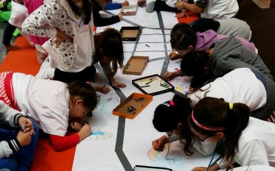 A scuola di sostenibilità