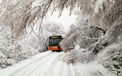 Caduta la prima neve si è attivato il Piano Neve del Comune di Rimini coordinato da Anthea