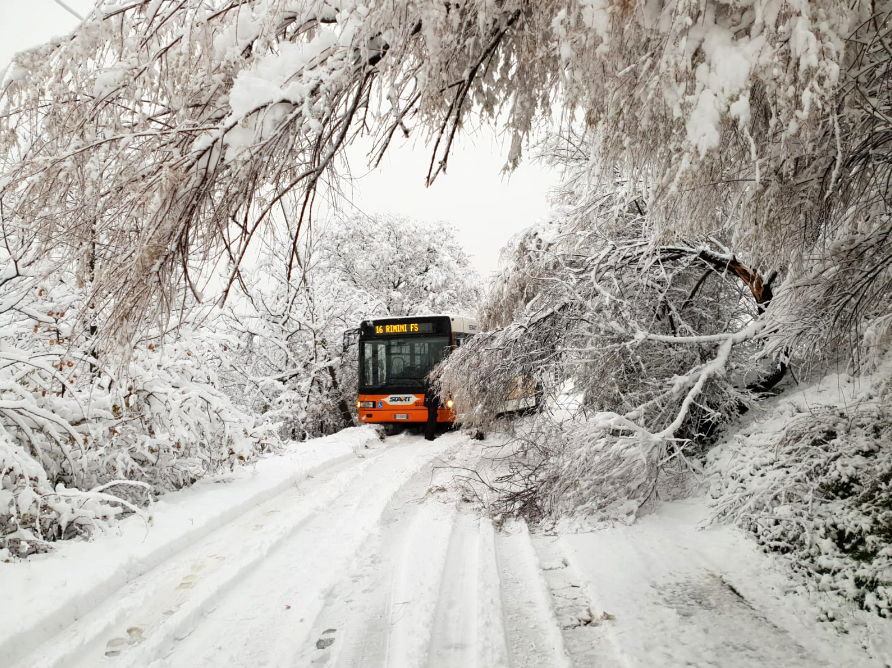Caduta la prima neve si è attivato il Piano Neve del Comune di Rimini coordinato da Anthea