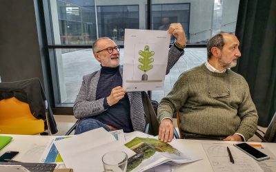 Verde urbano: prosegue il progetto europeo Life Urbangreen