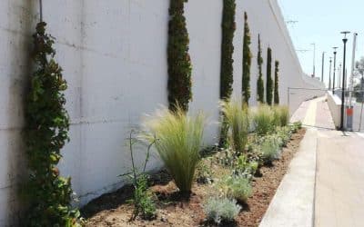 Metromare: alla stazione Miramare Airport l’aiuola pilota