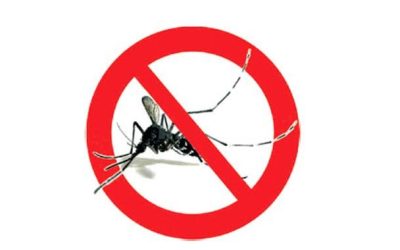 Contrasto alla zanzara tigre: in vigore la campagna 2019