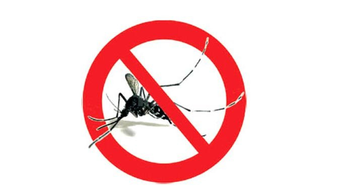 Contrasto alla zanzara tigre: in vigore la campagna 2019