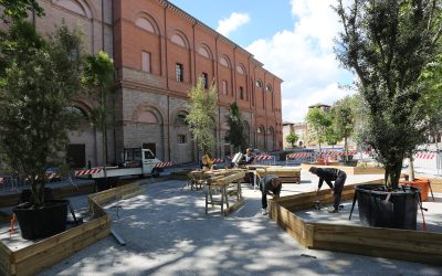 Al via il progetto “Temporary Urban Garden” in piazza Malatesta