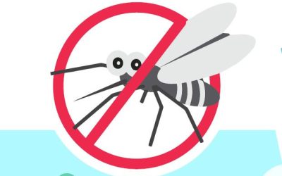 Contrasto ai focolai di zanzare, Anthea alza l’asticella e invita i cittadini a fare altrettanto