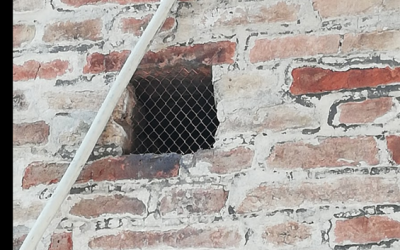 Dissuasori in Piazza Cavour per l’allontanamento dei piccioni