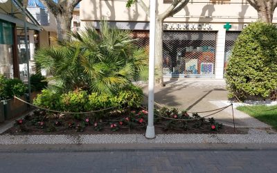 Bellaria Igea Marina: Anthea al lavoro insieme al Comune per rendere sempre più bella la città