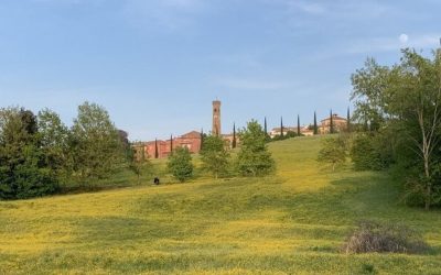 Santarcangelo: monitorati 145.600 metri quadrati di aree parco