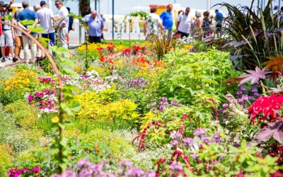 Bellaria Igea Marina vince il prestigioso concorso “Communities in Bloom”: Anthea protagonista nelle strategie per il verde urbano