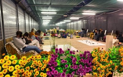 Anthea protagonista nel laboratorio educativo contro la zanzara tigre: un successo con il tutto esaurito