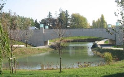 Anthea protagonista della case history su HARMONIX® PASTA a Rimini