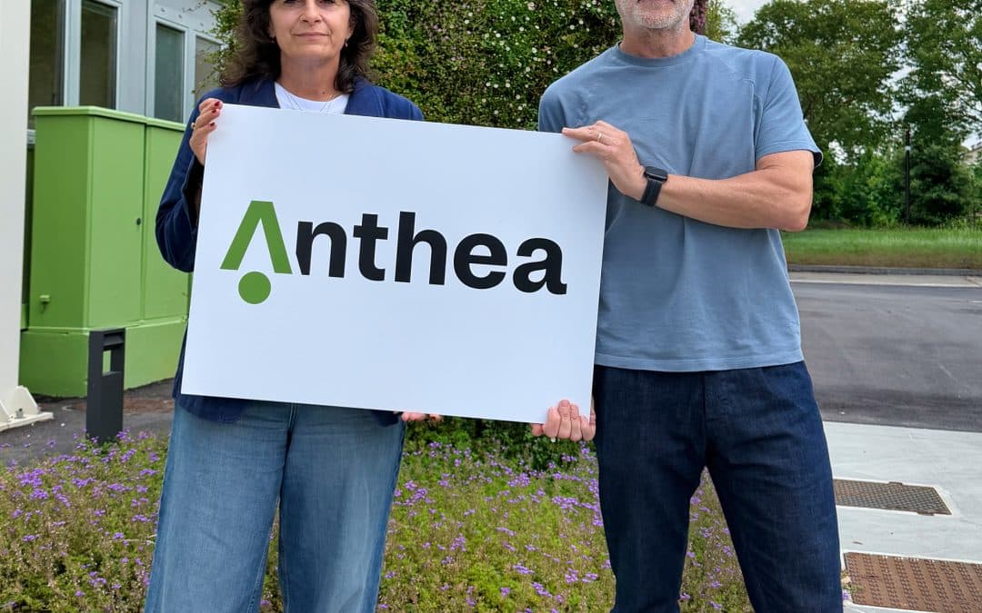 Anthea rinnova la propria identità visiva: un nuovo logo per raccontare innovazione, cura per l’ambiente, benessere.