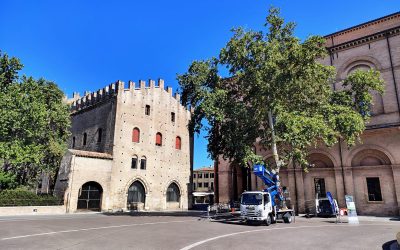 Anthea e TREESURE: innovazione e ricerca per la gestione sostenibile del patrimonio arboreo urbano di Rimini