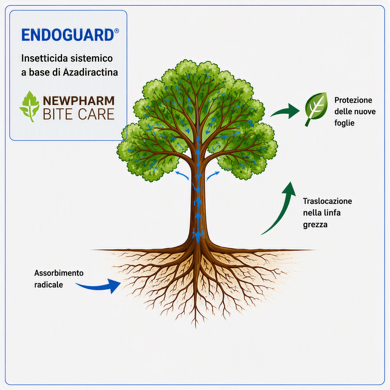 Schema Endoguard